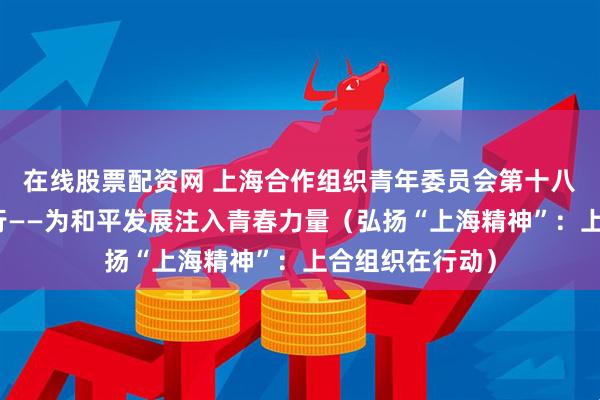 在线股票配资网 上海合作组织青年委员会第十八次会议在京举行——为和平发展注入青春力量（弘扬“上海精神”：上合组织在行动）