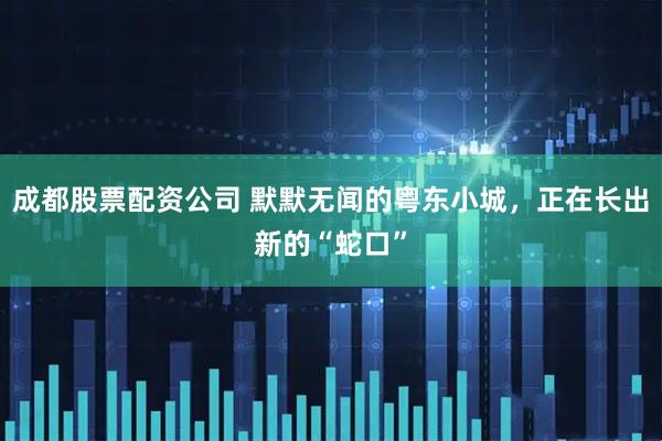 成都股票配资公司 默默无闻的粤东小城，正在长出新的“蛇口”