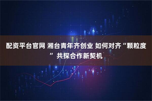 配资平台官网 湘台青年齐创业 如何对齐“颗粒度” 共探合作新契机