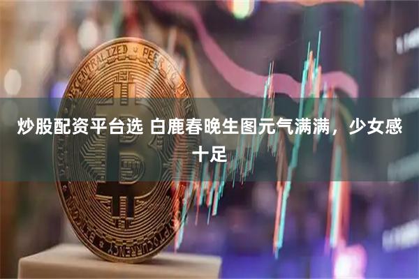 炒股配资平台选 白鹿春晚生图元气满满，少女感十足
